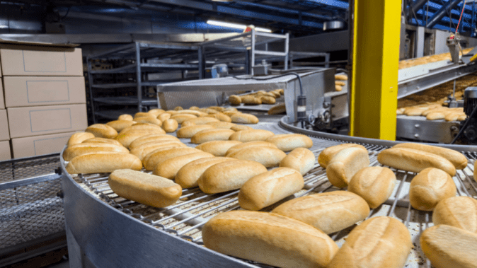 Food and beverage screening equipment