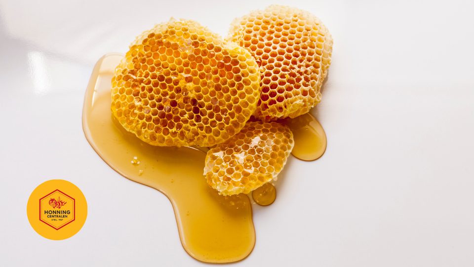 filtering honey at honningcentralen