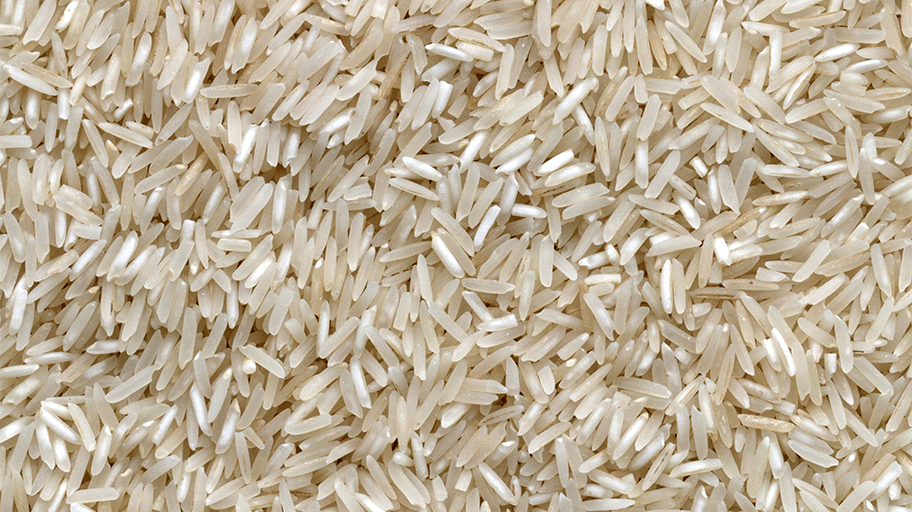 Screening Rice Hull Ash