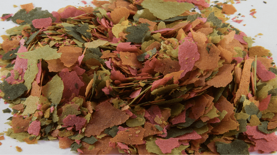 Screening Fish Feed