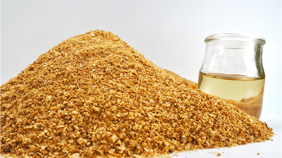 spent grains dewatering