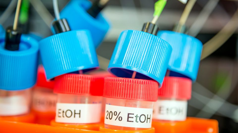 Screening ethanol by-products