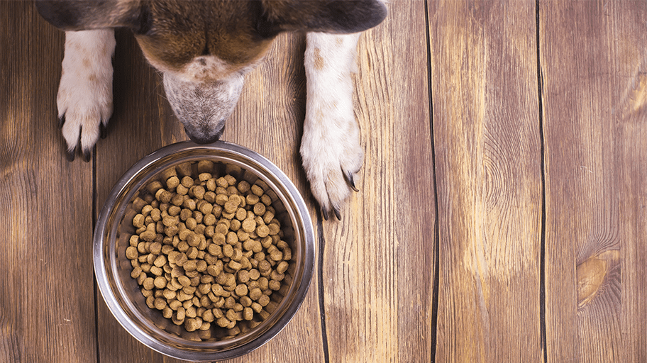 Sieving Pet Food Powders